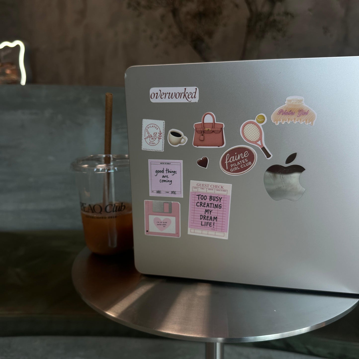 FAINE Stickers